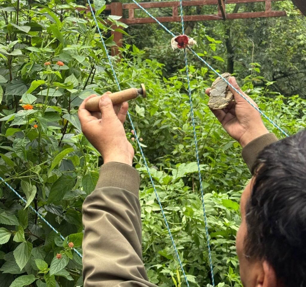 Taking action against illegal constructions being carried out at various places in the Authority area, Pithuwala and Mussoorie, sealing action was taken.