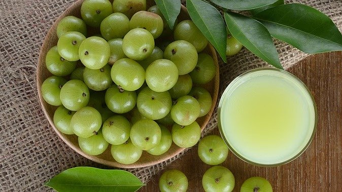 The sourness of gooseberry is special for diabetes patients