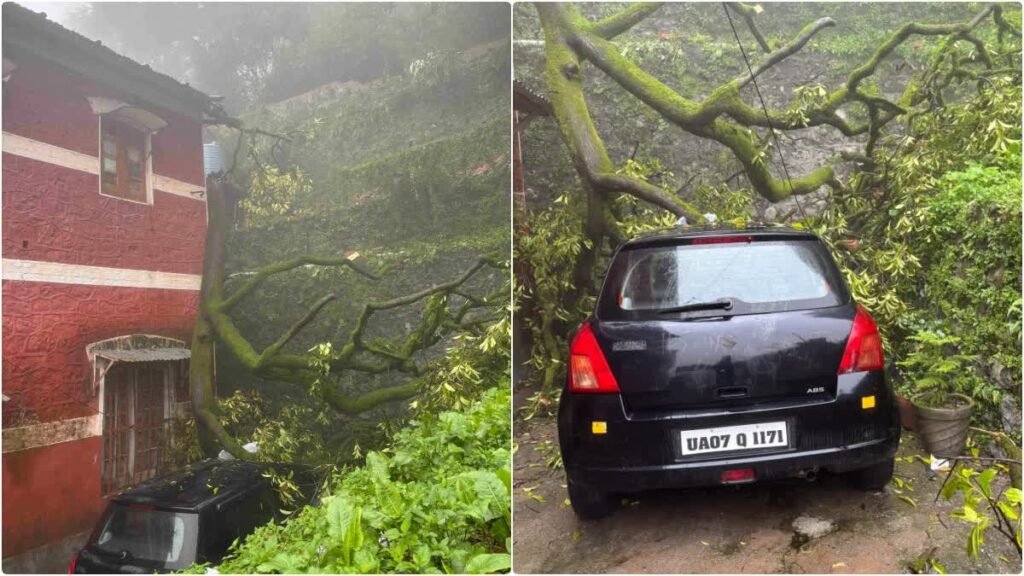 Rain havoc in Mussoorie! Giant tree falls on Landour police post