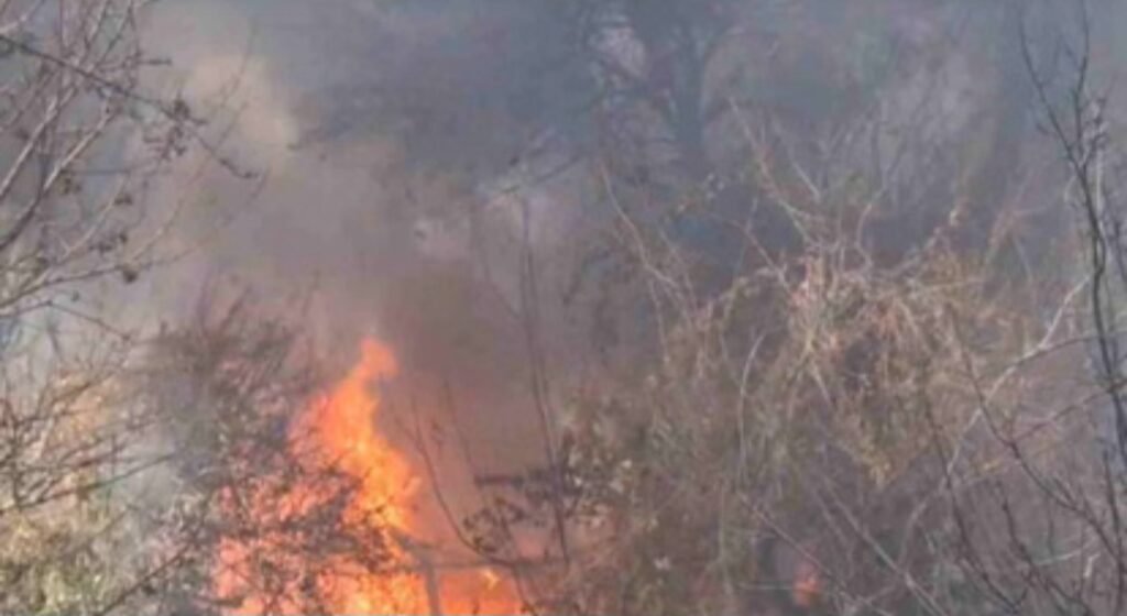 A sudden fire broke out at the army camp, causing panic. Soldiers and fire service teams are working together to extinguish the flames