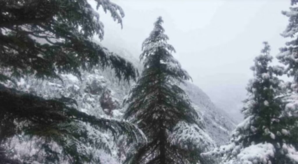 Uttarakhand Weather: Weather Takes a Turn for the Worse—Heavy Rain and Snowfall; Sudden Mobile Alert Received, Warning Issued