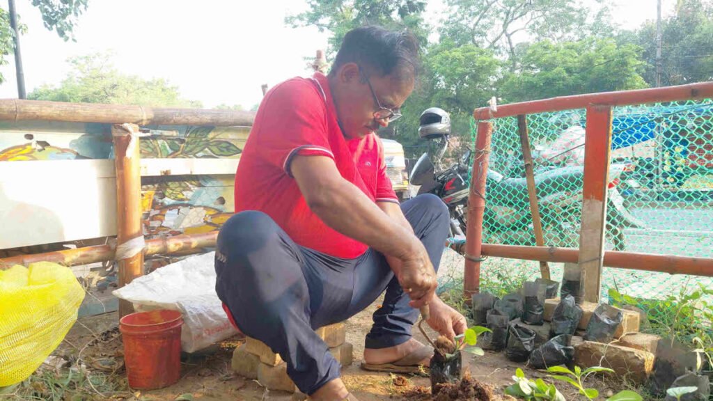 Odisha Man Turns Retirement Into Green Mission, Distributes 40+ Medicinal Plants for Free